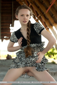 Met Art Virginia Sun